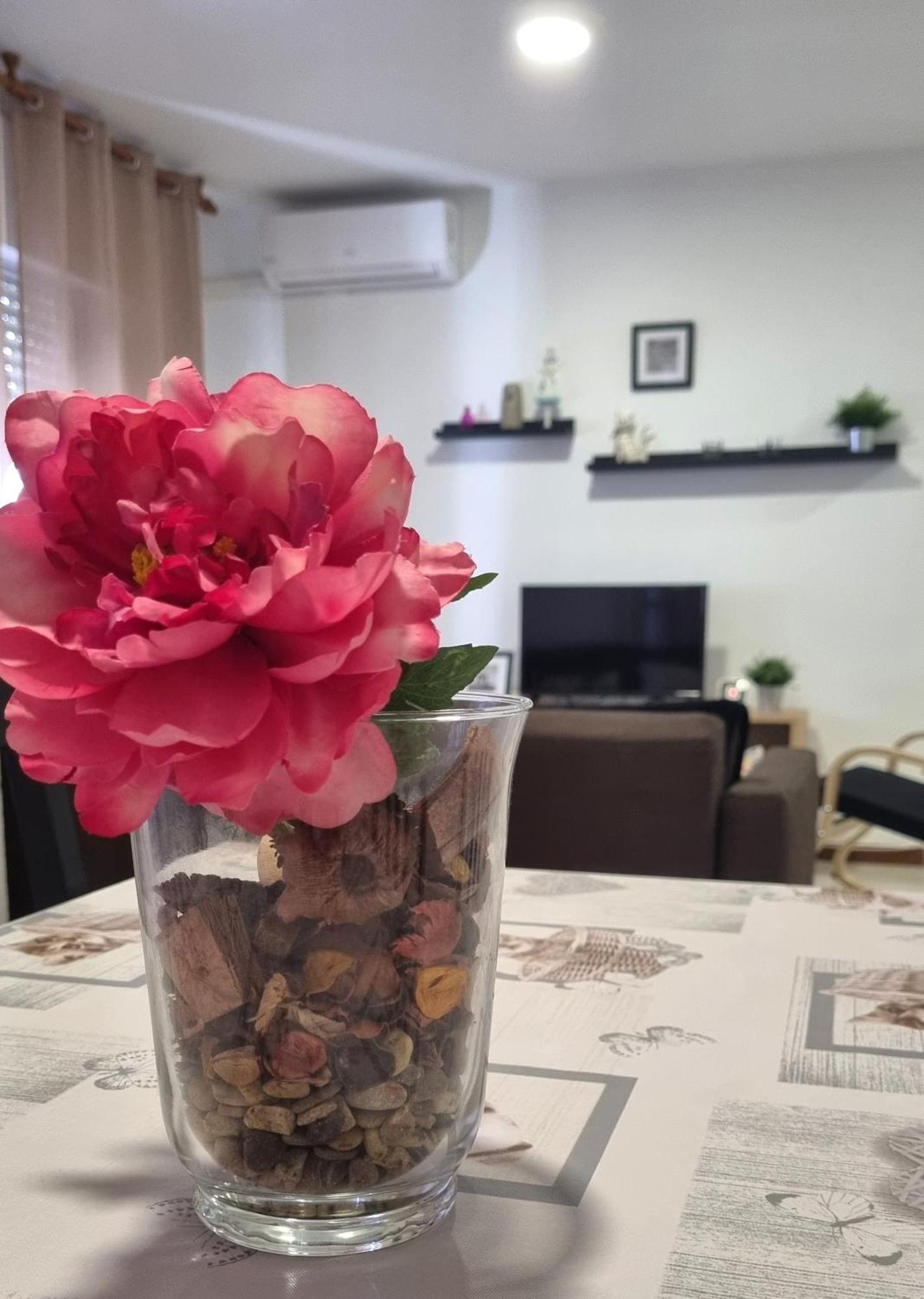 Apartamento Cayetano Рота Экстерьер фото